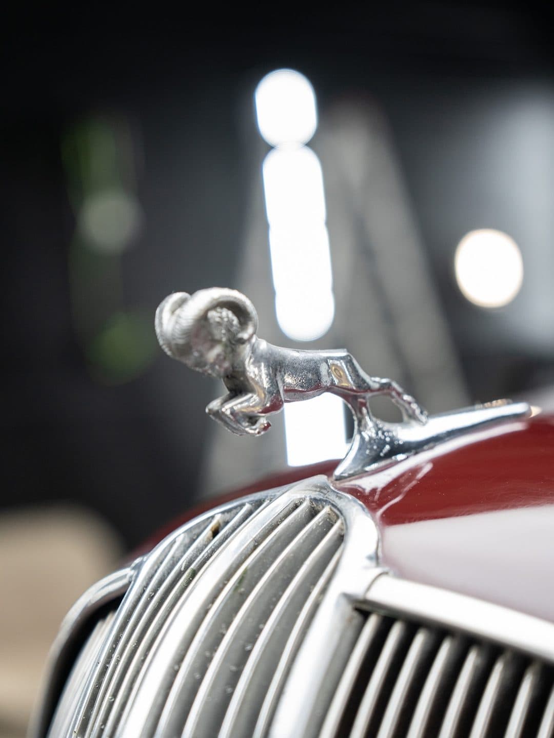 1936 Dodge D2, stage 1 correction on a classic at Woks Detailing, photo 6